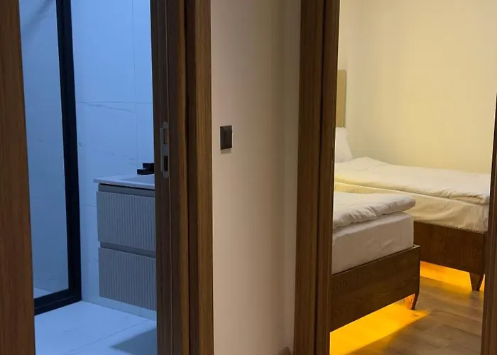 酒店 Lokka Ortakoy