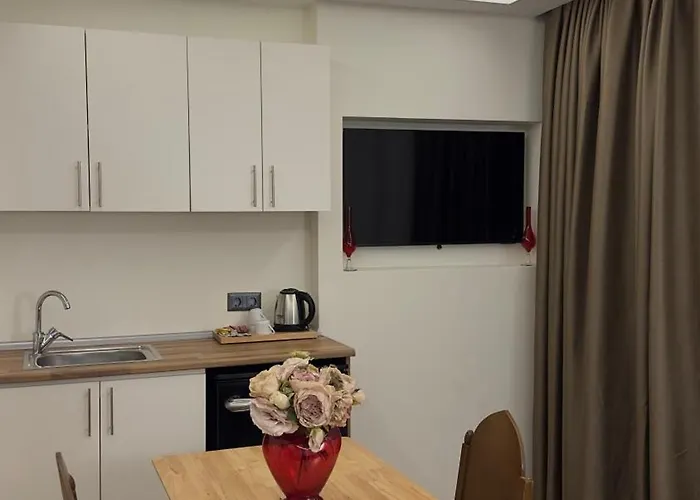 酒店 Lokka Ortakoy