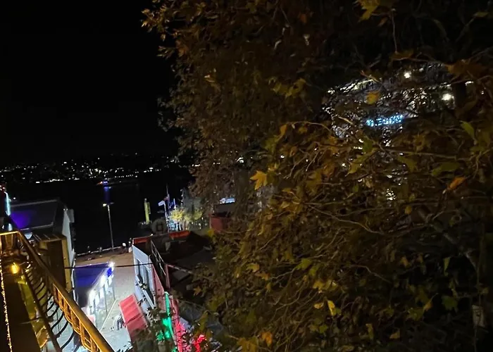 酒店 Lokka Ortakoy