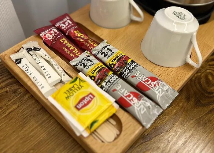 Lokka Ortakoy 伊斯坦布尔