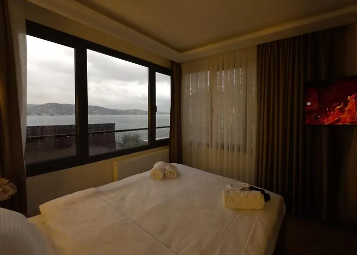 酒店 Lokka Ortakoy 3*