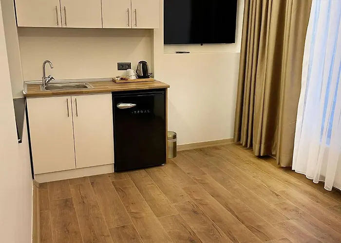 酒店 Lokka Ortakoy