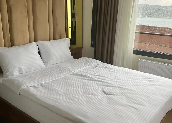 Lokka Ortakoy 伊斯坦布尔