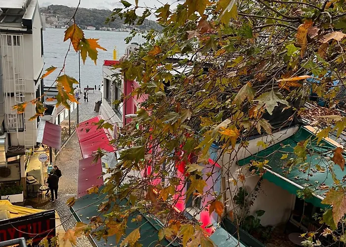 Lokka Ortakoy 酒店