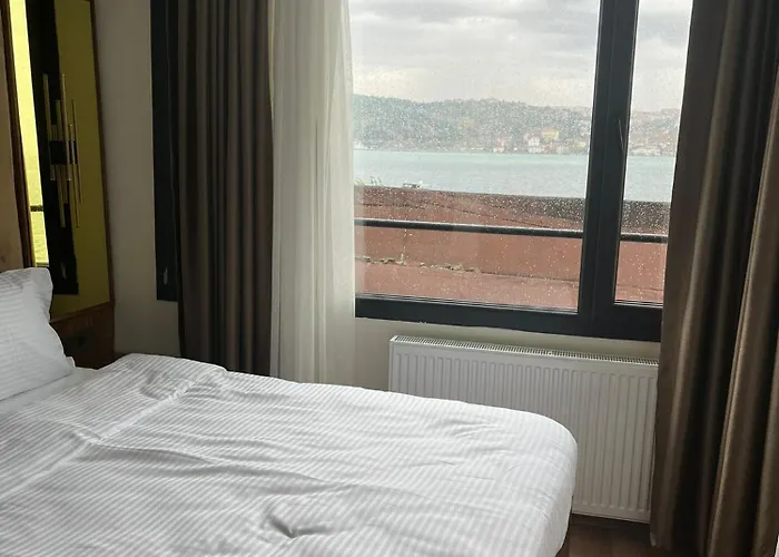 酒店 Lokka Ortakoy 3*